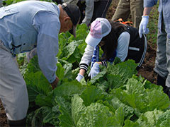 おいしい町