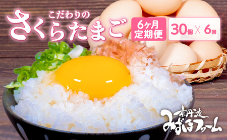 【卵 定期便6か月】京丹波こだわりた「さくらたまご」30個入 (卵定期便6ヶ月 卵定期便 京卵定期便 たまご定期便)