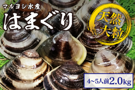 マルヨシ水産　桑名産大粒天然蛤　2kg_はまぐり　ハマグリ　魚介　貝　魚貝　活はまぐり　焼きはま　海鮮　網焼き　酒蒸し　お吸い物　パエリア　パスタ　c_74