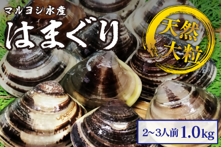 マルヨシ水産　桑名産大粒天然蛤　1kg_はまぐり　ハマグリ　魚介　貝　魚貝　活はまぐり　焼きはま　海鮮　網焼き　酒蒸し　お吸い物　パエリア　パスタ　m_70