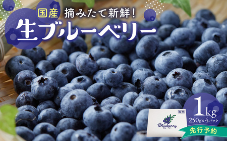 【2025年発送】 先行予約 国産 ブルーベリー 1kg 生ブルーベリー ブルーベリー ブルーベリー 木津川市産 小分け 新鮮 国産 ブルーベリー 080-01