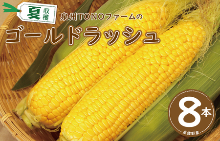 ゴールドラッシュ 8本【新鮮 野菜 泉佐野産 とうもろこし コーン やさい TONOファーム 高評価 数量限定】