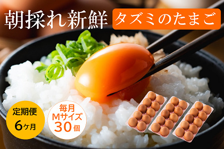 【TVで紹介されました】【定期便】タズミの卵(30個×6ヶ月)044AB01N.／こだわり卵 市川町産 兵庫県産 たまご たまごかけご飯 玉子 生卵 鶏卵 タマゴ 卵焼き TKG 6か月 定期便