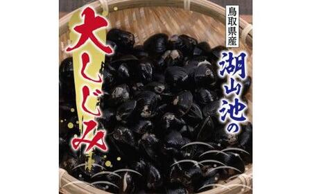 湖山池の大しじみ