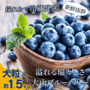 MS-36　新鮮生ブルーベリー1.5㎏（8月採れ）