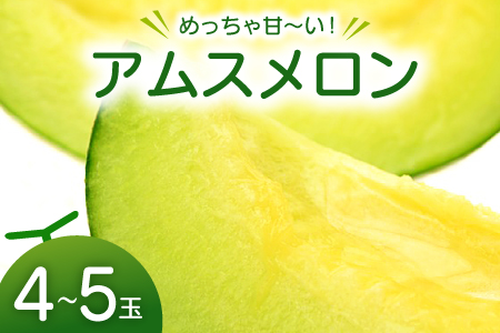 B-999 【先行予約】めっちゃ甘いアムスメロン4～5玉【メロン 先行予約 アムス めろん 早期予約 季節限定 期間限定 果物 フルーツ お土産 プレゼント 贈り物 ご褒美 贅沢】