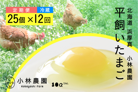 【12ヵ月定期便】平飼い有精卵 25個 計300個 12回【冷蔵便】卵定期便 卵定期便 卵定期便[AXAN006]