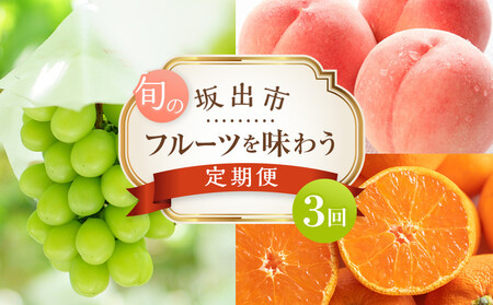 坂出市 旬のフルーツを味わう3回 定期便