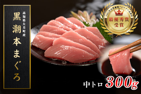 【高知県大月町産 本マグロ】 中トロ300g