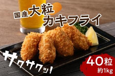 サクサクッ!国産大粒カキフライ40粒(約1kg)【001-0011】