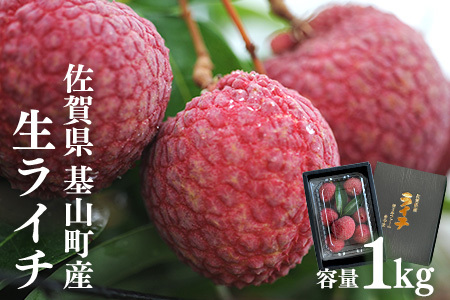 【先行受付】佐賀県産ライチ 1kg(贈答用)【生ライチ ライチ 生 基山町産 贈答用 貴重 国産 新鮮 フレッシュ 肉厚 1kg お中元 贈り物】 K060004