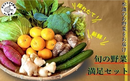 道の駅松浦海のふるさと館『旬のお野菜』の大満足セット！( 野菜 やさい 旬 おいしい 野菜セット )【A7-053】