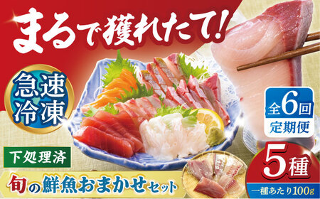 【全６回定期便】下処理済み 超速冷凍 鮮魚5種 [PEP020]魚 定期便 魚 定期便 魚 定期便 魚 定期便