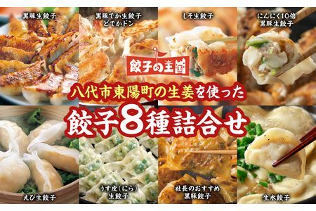 ＼高評価★4.8／ 八代市東陽町の生姜を使った 餃子の王国 餃子 8種詰合せ 生餃子 FN-Limited