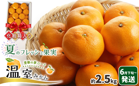 温室 みかん 『 豊華の夢ロード』 約 2.5kg 化粧箱入り | 果物 くだもの フルーツ 温室 みかん ミカン 蜜柑 熊本 玉名 ハウスみかん