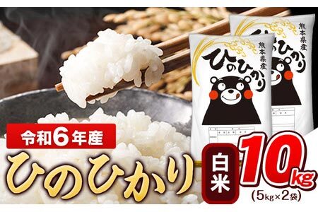 大容量 米 令和6年産 ひのひかり 白米 10kg 《7-14日以内に出荷予定(土日祝除く)予定)》5kg×2袋 高レビュー｜人気米 熊本県産米 お米 生活応援米