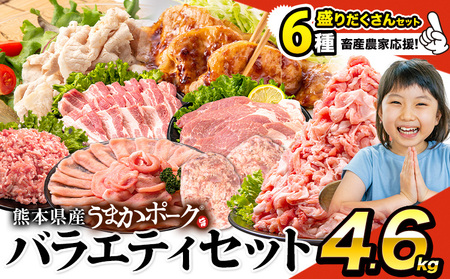 数量限定★生産者応援★ 豚肉 小分け バラエティセット4.6kg うまかポーク《30日以内に出荷予定(土日祝除く)》豚肉 国産豚肉 熊本県産豚肉 