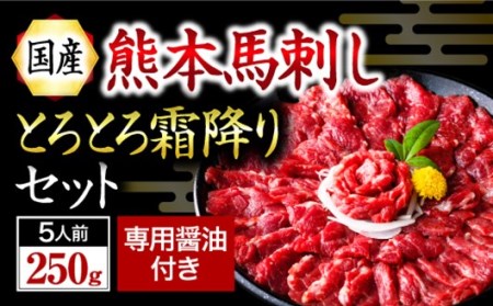 【国産】熊本馬刺し 霜降り 中トロ 250g 国産 熊本 馬刺し 馬 馬肉 馬刺 肉刺し 醤油 贈答用 ギフト 熊本 阿蘇 南小国町 送料無料