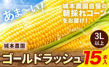 とうもろこし15本｜とうもろこしとうもろこしとうもろこし 大容量 野菜