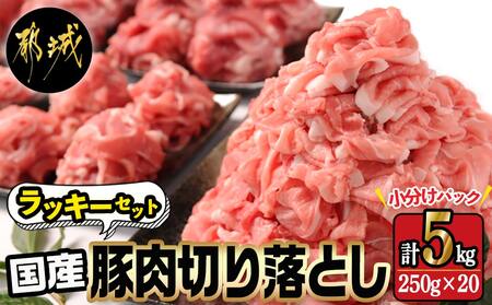 国産豚肉切り落とし5kgラッキーセット_19-3601_(都城市) 国産 豚肉 切り落とし 250g×20袋 5kg 