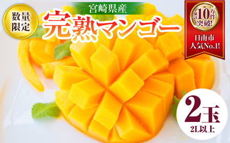 リピーター続出!!数量限定 宮崎県産 完熟 マンゴー 2L以上×2玉 フルーツ 果物_C123-24