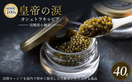 【純国産キャビア】オシェトラキャビア 40g（20g×2） 皇帝の涙 国産 チョウザメ キャビア 国産キャビア 魚卵 宮崎県