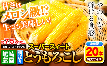 朝採りとうもろこし スーパースィート 「ゴールドラッシュ」 特大サイズ 20本(1本380g以上) Lサイズ 嶋崎農園 《8月中旬-9月中旬頃出荷》