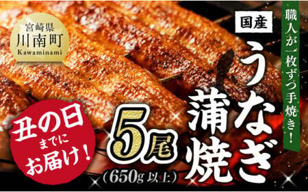 【丑の日用】ひむか 山道うなぎ 蒲焼 5尾分 (650g以上) 【国産 九州産 宮崎県産 うなぎ ウナギ 鰻 鰻の蒲焼き 蒲焼 】 