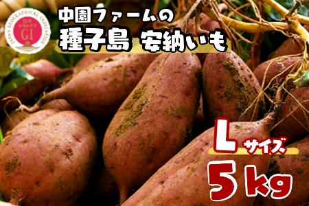 種子島 中園ファーム 安納いも ( 生芋 ) L サイズ 5kg　NFN365【300pt】