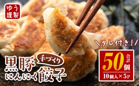 Z6-01 手づくり黒豚にんにく餃子(計50個・10個入り×5P) 伊佐市 特産品 鹿児島 手作り 生餃子 ギョウザ 黒豚 豚肉 冷凍食品 おかず おつまみ 惣菜 小分け 焼くだけ 簡単調理 冷凍便 【工房ゆう】