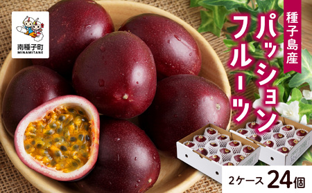 《先行予約 令和7年産》 種子島産パッションフルーツ 2ケース ( 24個入り ) パッションフルーツ 果物 フルーツ 食品 グルメ お取り寄せ お中元 人気 おすすめ 返礼品 南種子町 鹿児島 かごしま 【有限会社新栄物産】