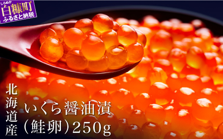 ＼高評価 4.7／ 極上の大粒いくら 250g シラリカいくら（醤油味） 鮮度維持にこだわった極上品 いくら 醤油漬け イクラ 鮭卵 鮭いくら 海鮮 人気 ランキング 北海道 白糠町 _K013-1035