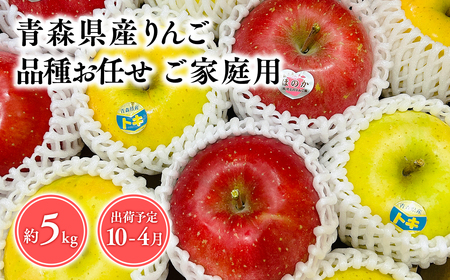 2025年産 品種お任せ　【訳あり】家庭用　旬のりんご詰め合わせ5㎏りんご リンゴ 林檎 りんご 青森 平川市産 