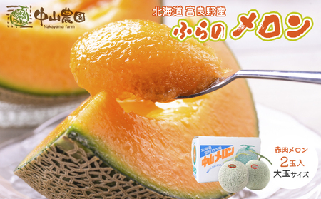 テレビで紹介されました！【2025年夏発送】北海道 富良野産 赤肉メロン 2玉 大玉サイズ (中山農園) メロン フルーツ 果物 新鮮 甘い 贈り物 ギフト 道産 ジューシー おやつ ふらの ブランド 夏 