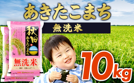 【令和6年産】あきたこまち無洗米 10kg　145P9202