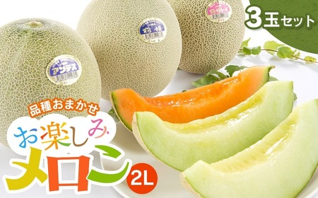 【令和7年産先行予約】 お楽しみメロン 3玉セット 2Lサイズ 山形県 庄内産 砂丘メロン 三昧 アンデスメロン・鶴姫メロン・鶴姫レッドメロン の中から3玉お届け 食べ比べ JA鶴岡 K-736