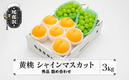 先行予約  有袋黄桃 シャインマスカット 秀品 詰め合わせ 3kg 2025年産 令和7年産 山形県産 送料無料 もも ぶどう 果物 フルーツ セット※沖縄・離島への配送不可 ns-fsosx3