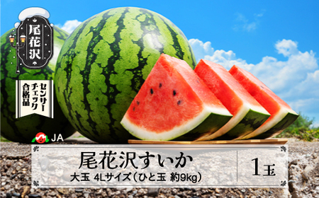 先行予約 すいか スイカ 尾花沢すいか 4Lサイズ 約9kg×1玉 7月下旬～8月10日頃発送 令和7年産 2025年産 尾花沢 スイカ すいか JA ja-su4xx1