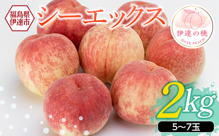 福島県産 伊達市で開発 シーエックス 2kg 2025年10月上旬～2025年10月中旬発送 2025年出荷分 先行予約 予約 大玉 固め 伊達の桃 CX 桃 もも モモ 果物 くだもの フルーツ 国産 食品  F20C-151