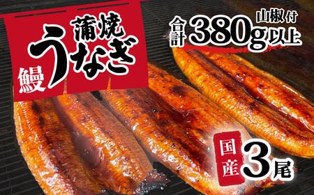【 訳アリ 】【レビューキャンペーン】 国産うなぎ 蒲焼き 3尾 セット ( 380g ) 大きさ の不揃い 山椒付き ウナギ 鰻 ふぞろい 不揃い うな重 ひつまぶし 人気 茨城 八千代町 ふるさと納税 冷凍 [SF142ya]