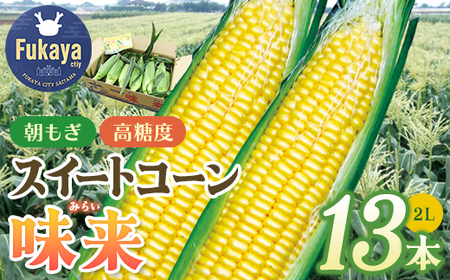 フルーツみたいなスイートコーン【味来（みらい）】13本　【11218-0140】