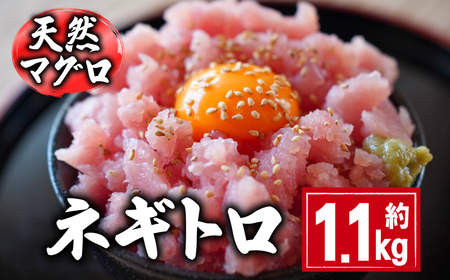 ネギトロ 約1.1kg  鮪鮪鮪鮪ﾈｷﾞﾄﾛﾈｷﾞﾄﾛﾈｷﾞﾄﾛﾈｷﾞﾄﾛﾈｷﾞﾄﾛ