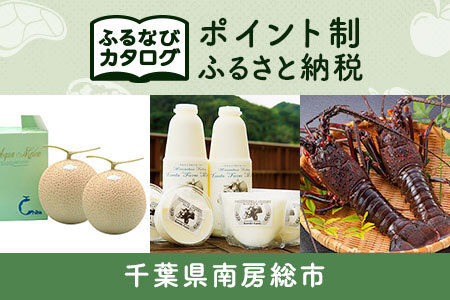【有効期限なし！後からゆっくり特産品を選べる】千葉県南房総市カタログポイント