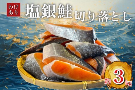 【訳あり】人気の海鮮お礼品 チリ産 定塩 塩銀鮭切り落とし(端材)約3kg_鮭 さけ サケ シャケ 銀鮭 切り落とし 端材 訳あり 規格外 不揃い 切身 魚 お弁当 おかず 冷凍 人気 海鮮 サーモン おすすめ チリ産 魚介類_【配送不可地域：離島】【1389616】