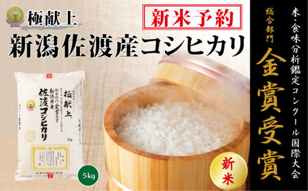 【新米・先行予約】5kg 新潟県佐渡産コシヒカリ