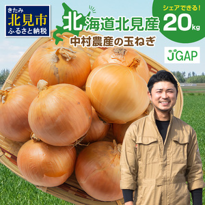 【予約：2025年9月下旬から順次発送】北海道北見産 玉ねぎ 20kg ( 玉ねぎ 野菜 たまねぎ タマネギ 玉葱 甘い 20キロ ハンバーグ 肉じゃが ふるさと納税 玉ねぎ )【002-0005-2025】