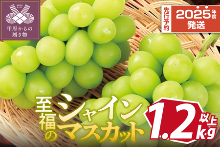 〈2025年度配送分〉至福の山梨県産シャインマスカット 2～3房（1.2kg以上）シャインマスカット  山梨 県産 2025年度 先行予約 甲府 市産 ぶどう フルーツ 果物 2～3房 冷蔵 1.2kg以上 種なし 大粒 高級 甘い 【2025年8月中旬～9月下旬頃にかけて順次発送】