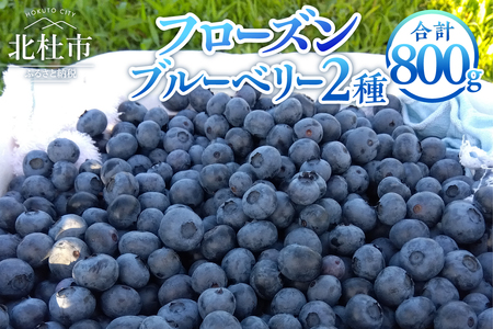【2025年先行予約】ビッグりサイズの『フローズンブルーベリー（冷凍ブルーベリー）』400g×2品種 ブルーベリー 400g×2品種 計800ｇ 完熟 大粒 朝採り 無農薬 冷凍 フローズンブルーベリー 異なる2品種 アソート チャック付きパック 八ヶ岳南麓育ち【2025年先行予約】