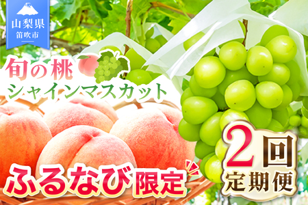 【ふるなび限定】＜25年発送先行予約＞山梨県産フルーツ定期便 旬の果物2回送り 旬の桃とシャインマスカット定期便  FN-Limited 180-006 | フルーツ定期便 おすすめフルーツ 厳選フルーツ フルーツ定期 シャインマスカット定期便 |