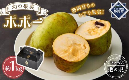 【2025年9月中旬頃より発送】ポポー 約1kg【受取日事前打合せ可能な方限定】【配送不可：離島】幻の果実 レア フルーツ ポポー 健康 美容 美肌 ファーム池の沢 静岡市